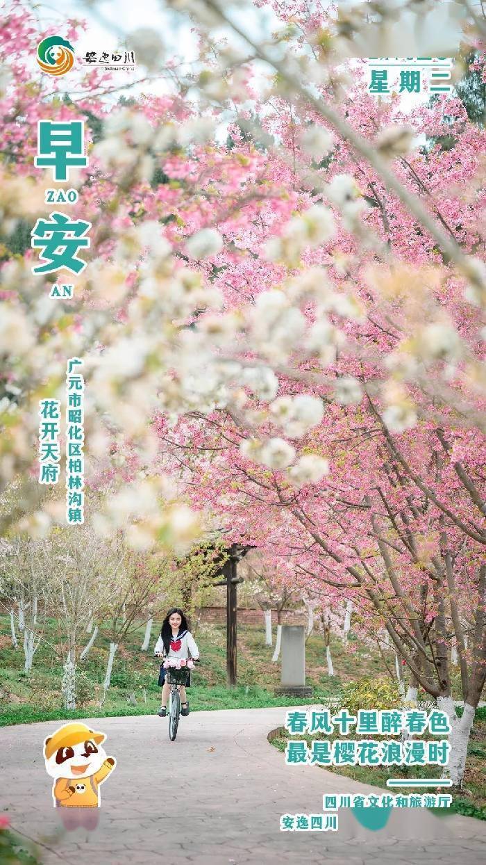 安逸四川日历海报春风十里醉春色最是樱花浪漫时