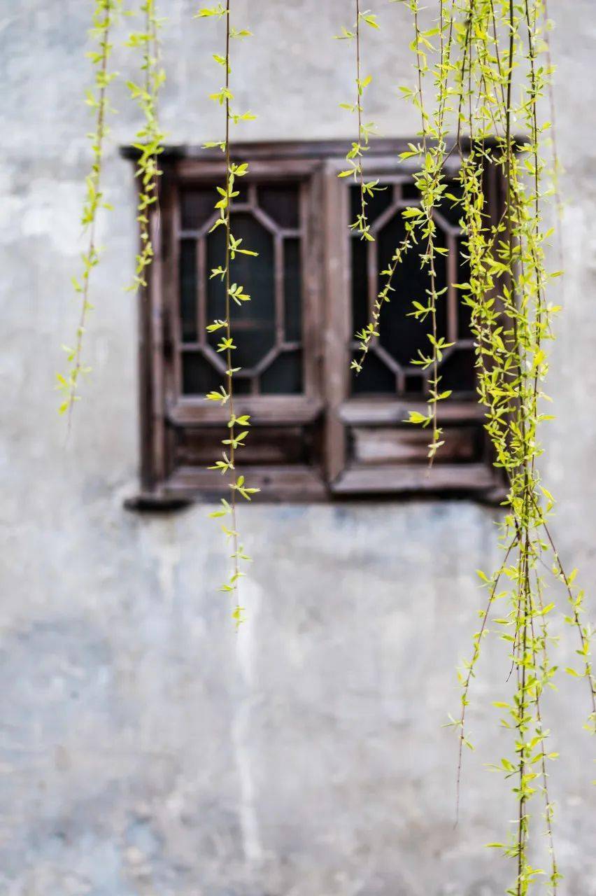 中国最美56个春天美到落泪