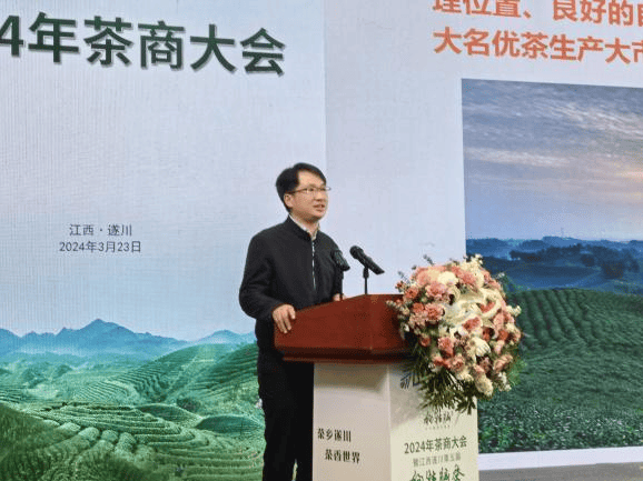 遂川云景如诗如画,狗牯脑茶沁人心脾 2024年茶商大会成功举办!