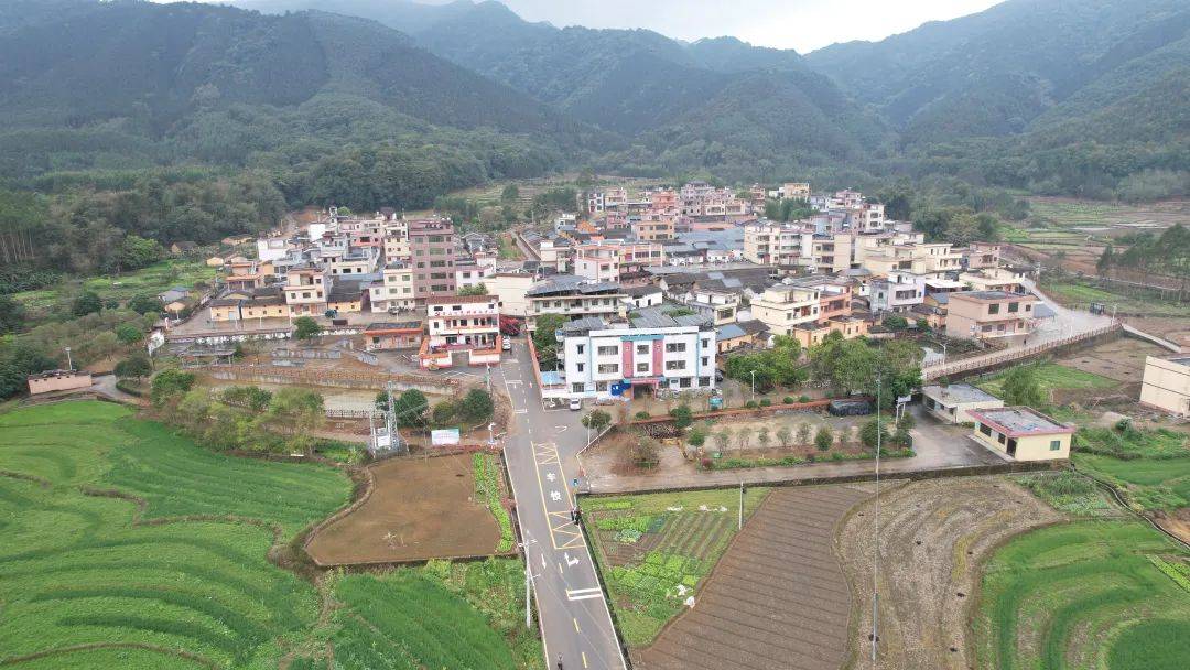 视频清远佛冈聚焦百千万工程一把手访谈系列高岗镇党委书记郑从军