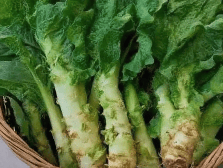 中老年人要多吃~_莴笋_养肝_习惯