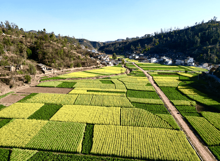 点赞牟定县入选2023年度全国村庄清洁行动先进县