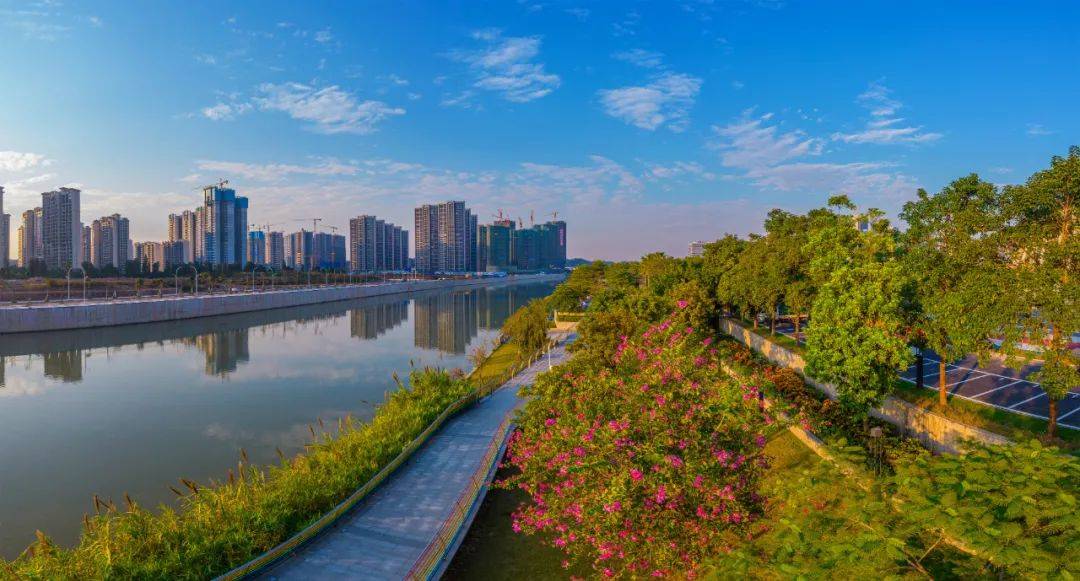 "稀客"来江门啦!欢迎"小精灵"~_中华_地区_自然保护区