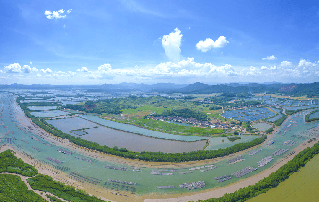 "稀客"来江门啦!欢迎"小精灵"~_中华_地区_自然保护区