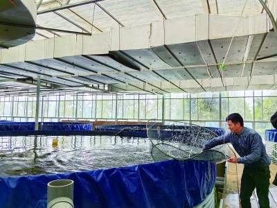 山新闻记者 孙敬清 摄□ 南京日报/紫金山新闻记者 孙敬清水塘里养鱼