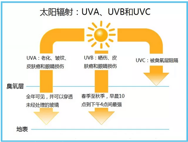 光电美肤危害图片