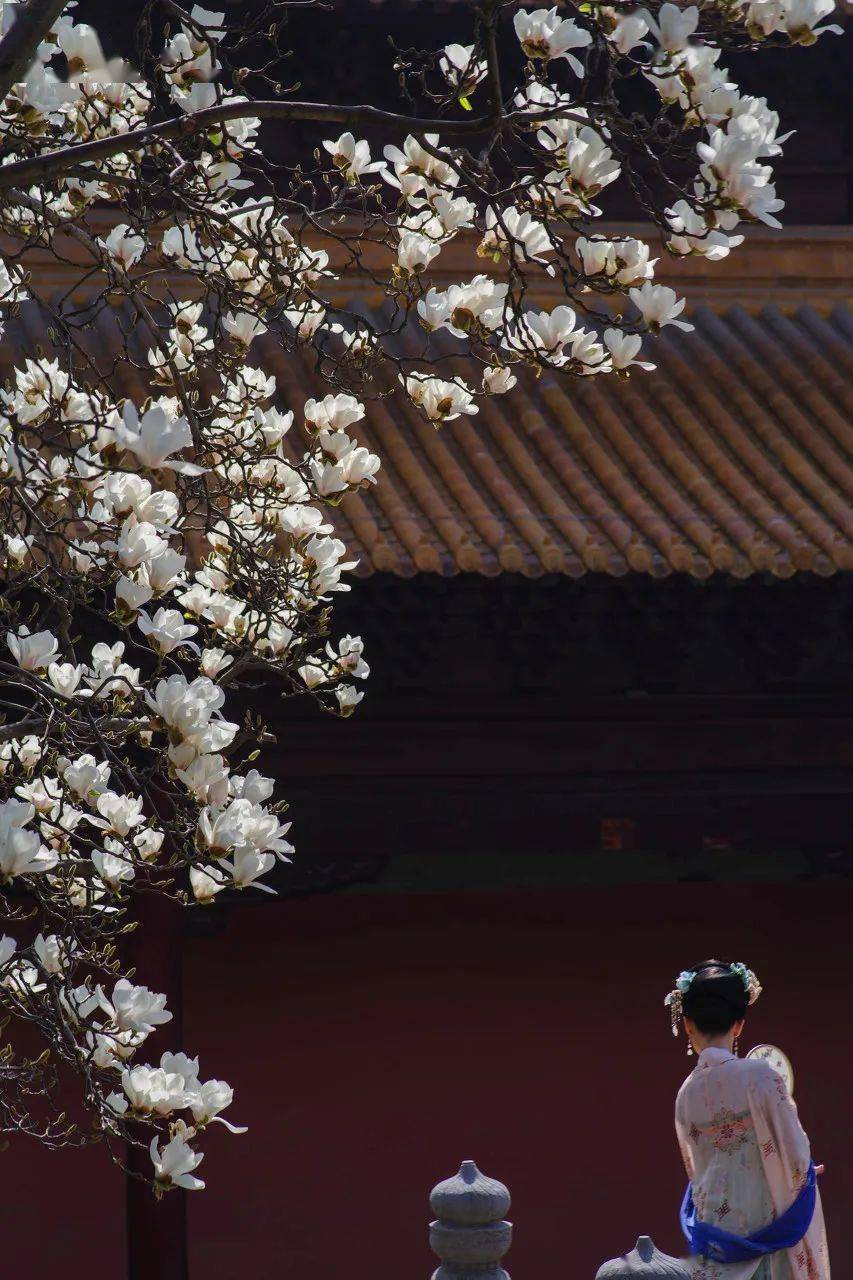 中国最美56个春天美到落泪