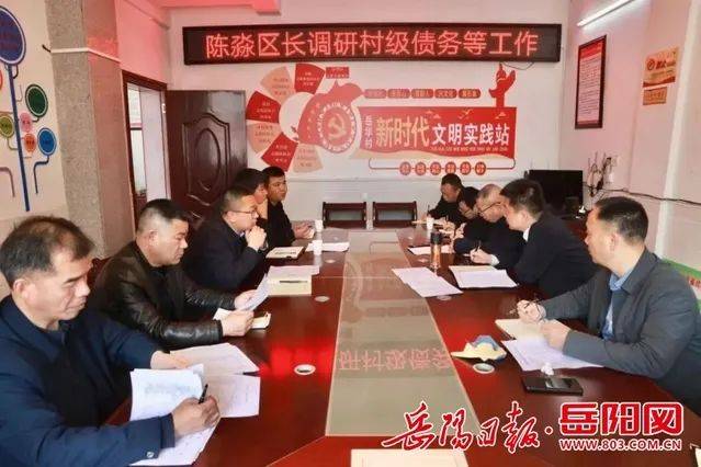 在岳华村,永城村,望城社区,陈淼详细了解了各村(社区)级债务形成原因