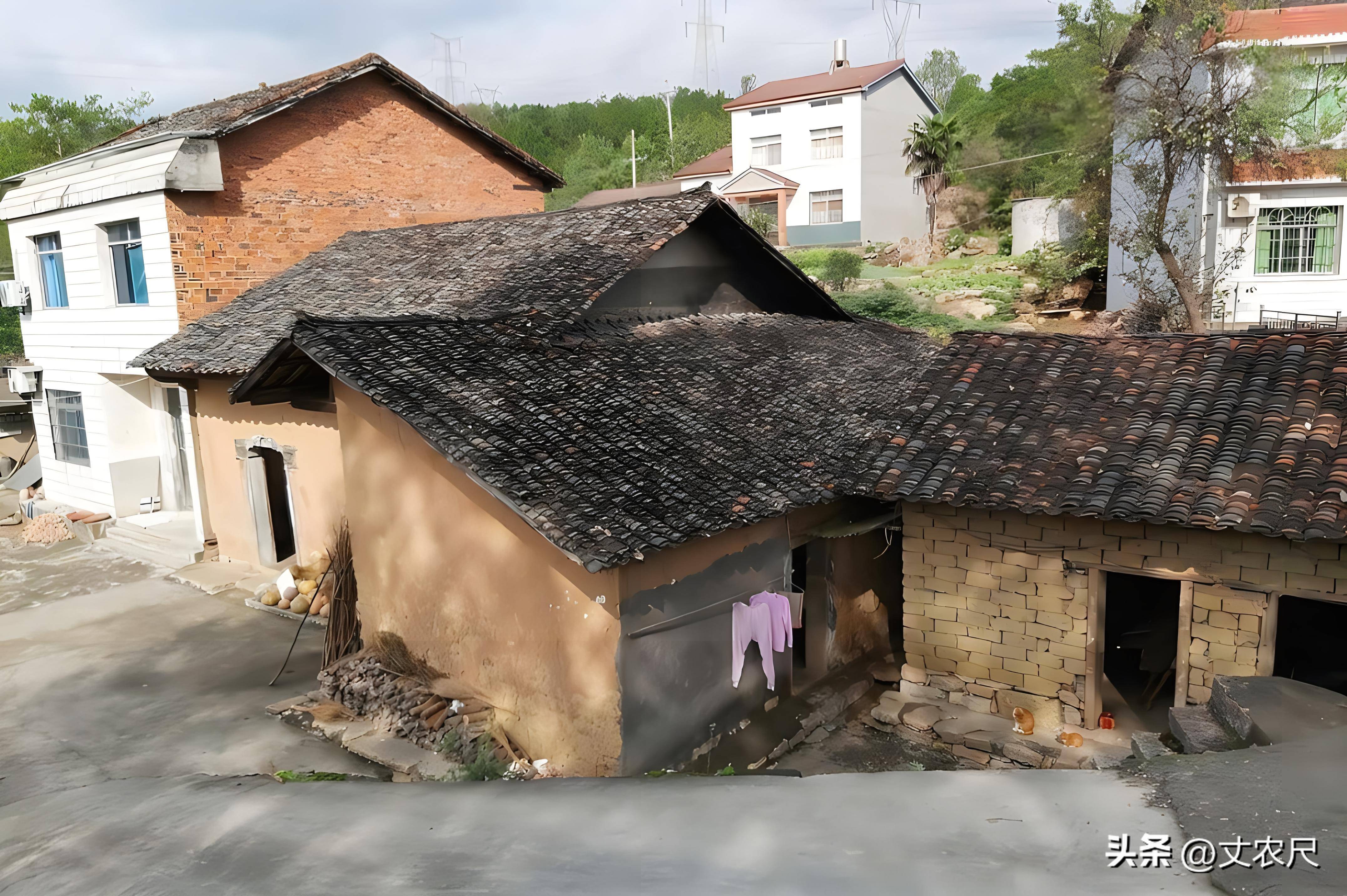 宅基地整顿"换模样",一户多宅注意_闲置_农村_开发