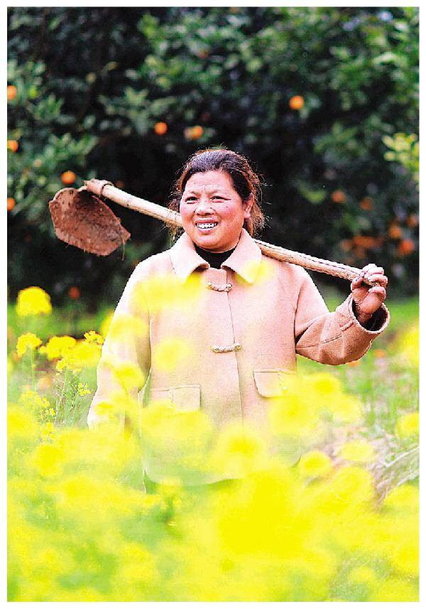 隐居深山种果荒地变聚宝盆恭城千万富姐的奋斗之路