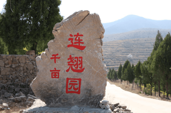 禹州市磨街乡:山沟开满黄金花