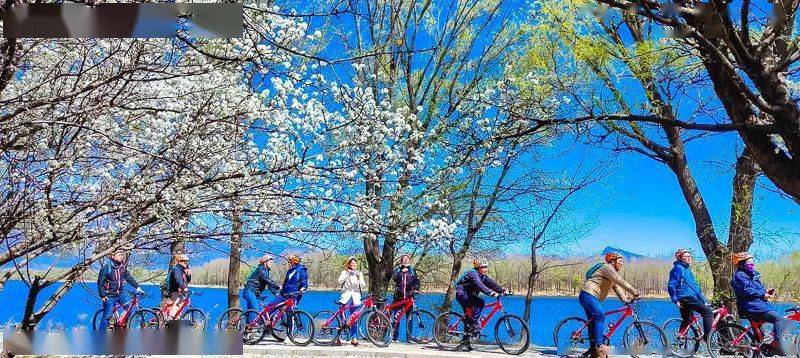 园内植有毛白杨,刺槐,白蜡,元宝枫,栾树,油松,云杉等乔木30余种,连翘