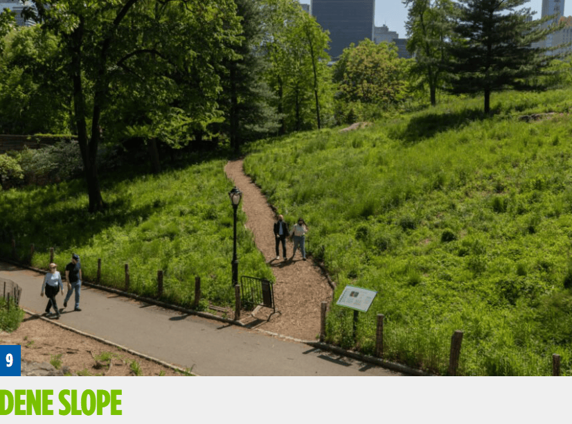 中央公园保护区 central park conservancy 提供了一份赏花地图,总结