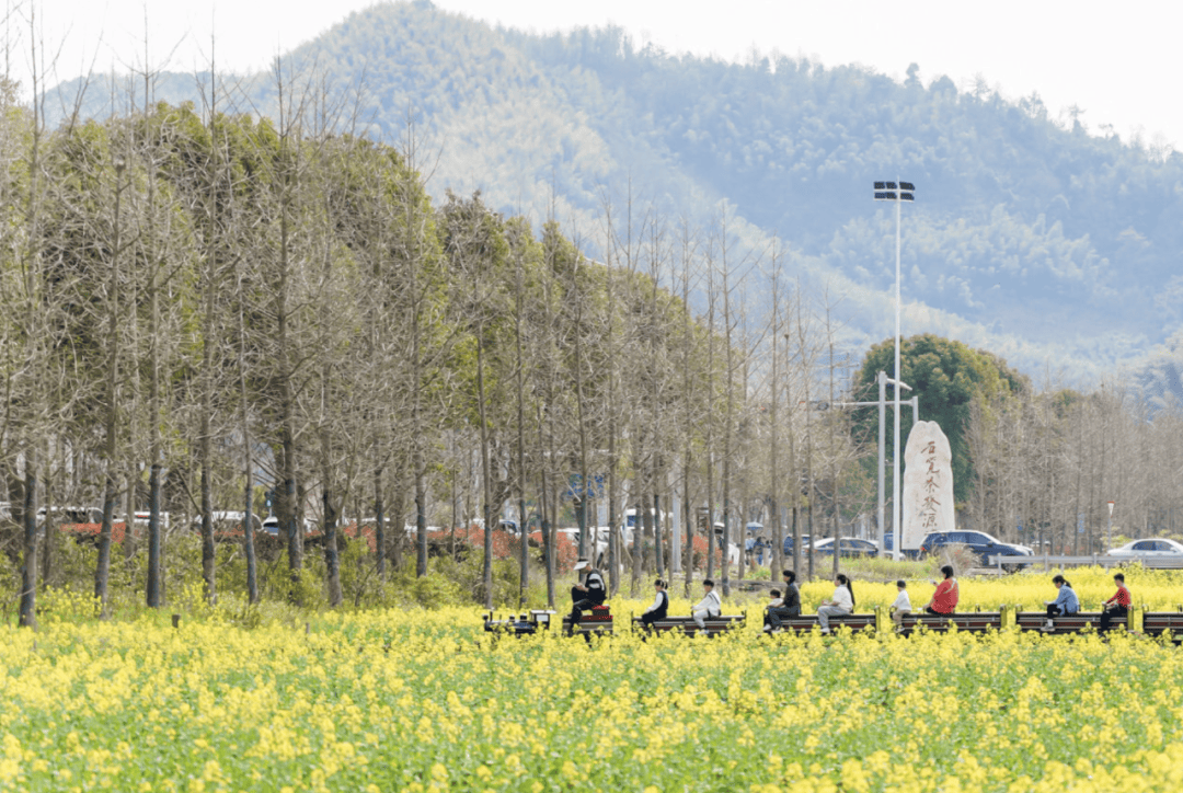 同时,东白湖镇还开展了画作慈善拍卖,研学志愿服务等活动.