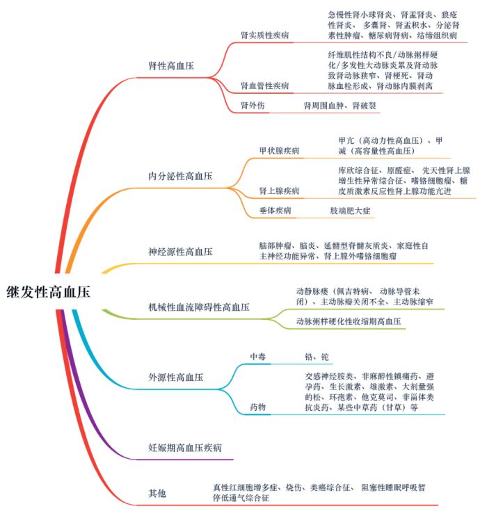 原发性高血压什么意思(原发性高血压什么意思和继发性高血压药物选择)