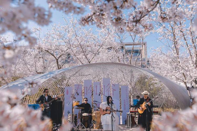 一起走花路4月4日4月15日相约白鹭湾樱花节
