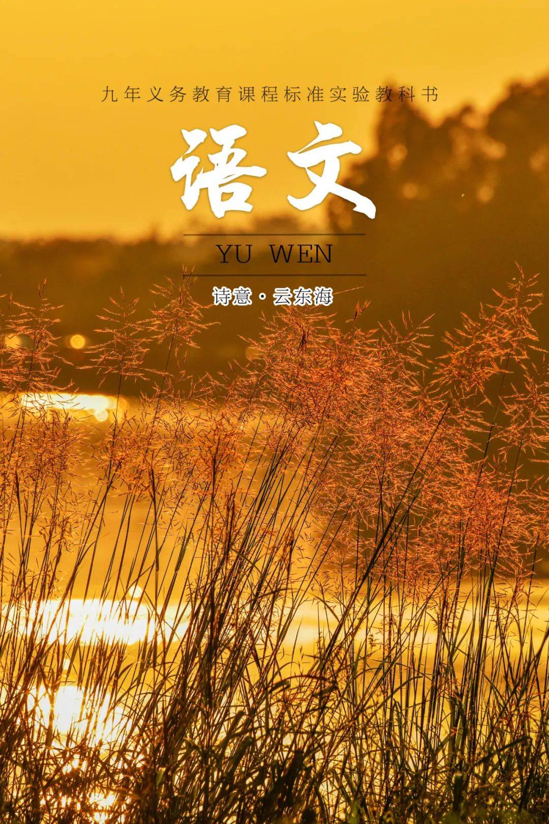 当云东海湿地美景遇上语文课本封面适配度拉满