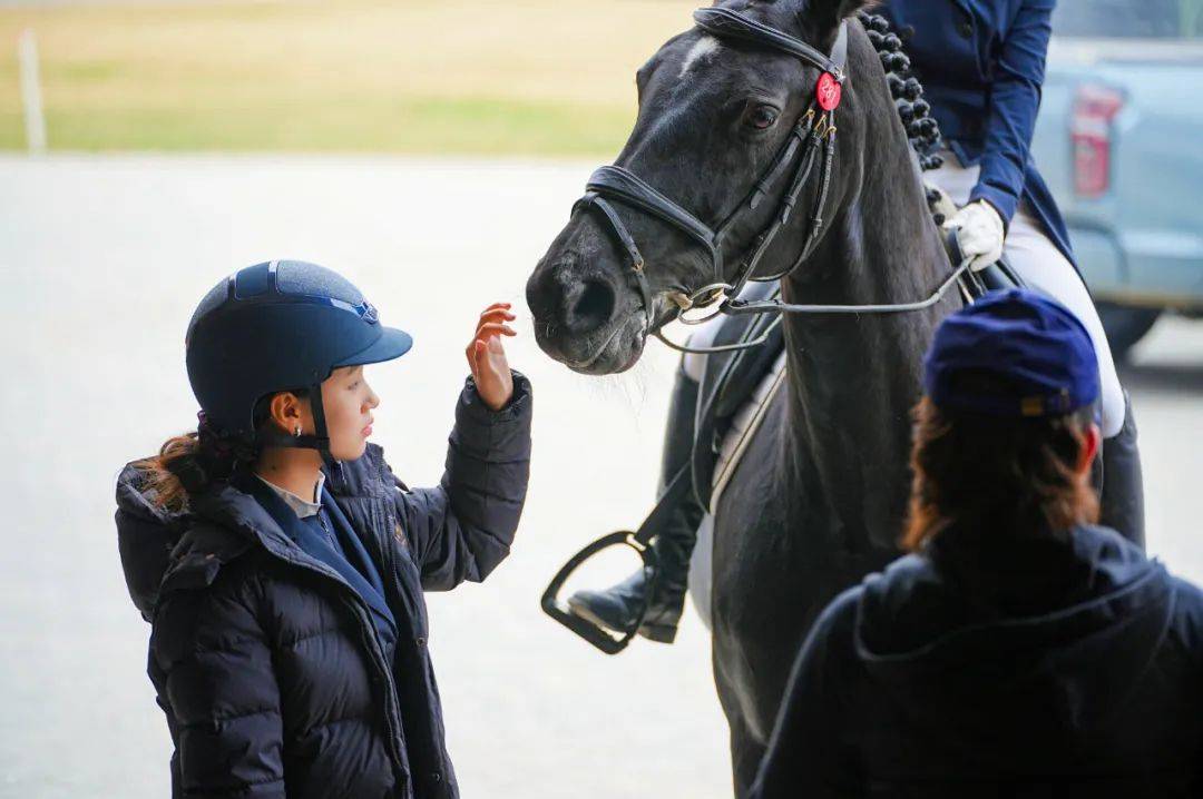 图集中马协骑手分级考核场地障碍及盛装舞步项目圆满落幕