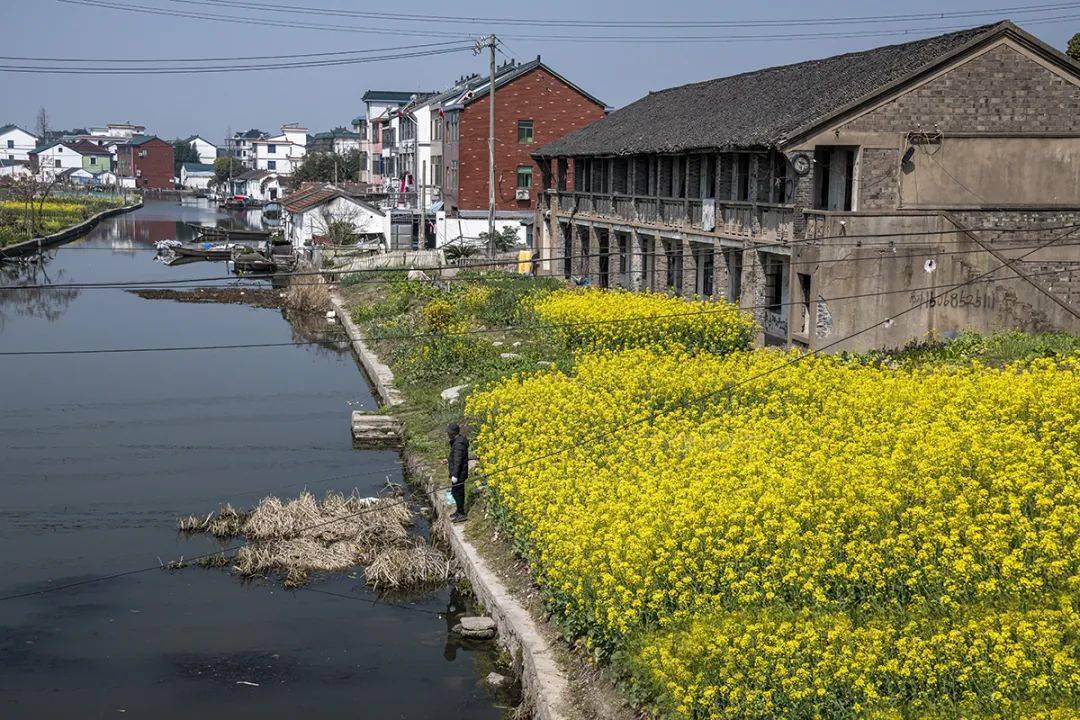 图说绍兴美丽乡村童家塔村