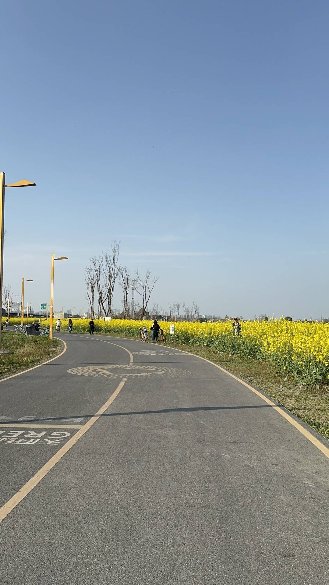 成都地铁折叠自行车（成都地铁能带电动折叠车吗） 成都地铁折叠自行车（成都地铁能带电动折叠车吗）《成都地铁可以带折叠电动车吗》 自行车