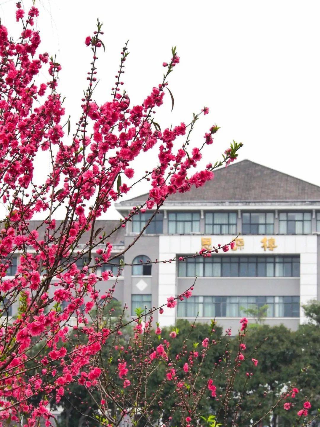 颜值爆表福建高校校花曝光