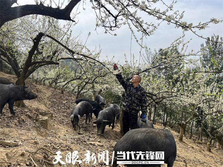 播州家庭小农场念活生态循环经