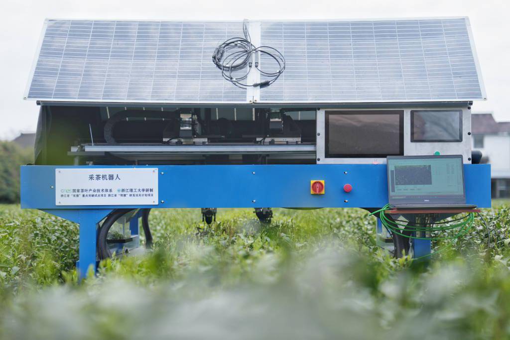 杭州ai智能采茶机器人开采明前西湖龙井