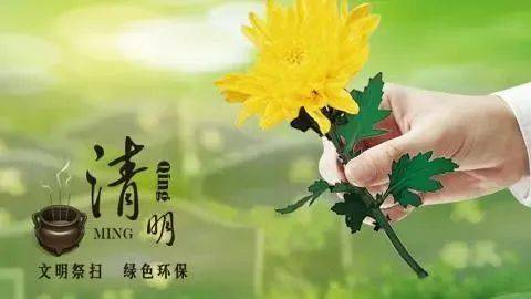 郑州市委书记修花坛图片