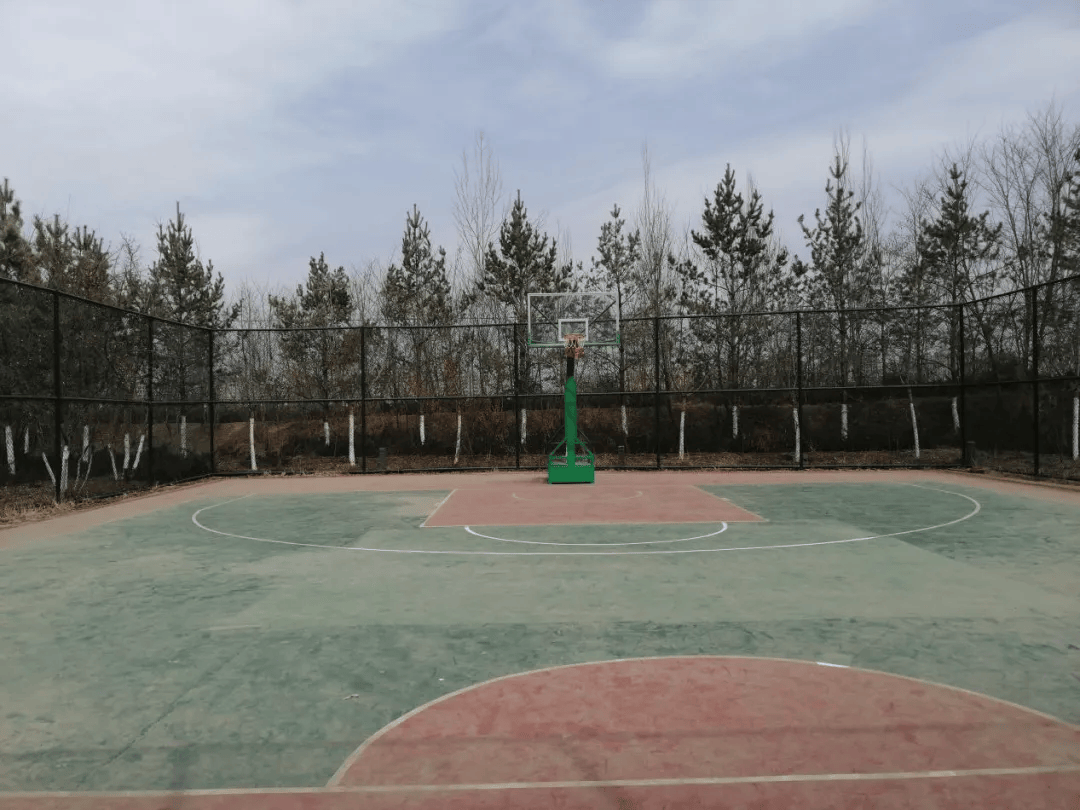 延安新区球类运动场信息指南