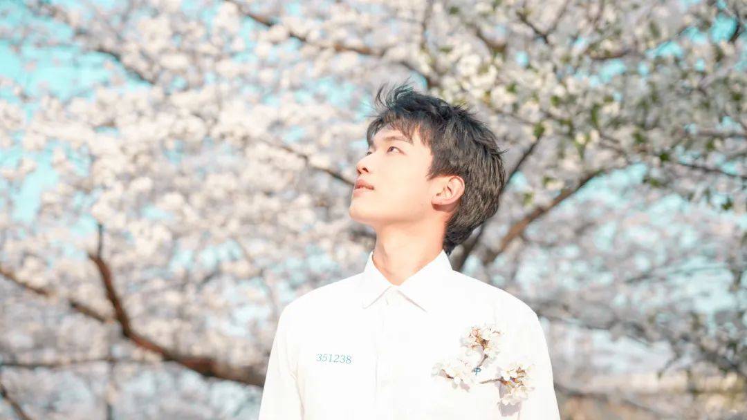 花为信春可期赴一场三月樱花之约