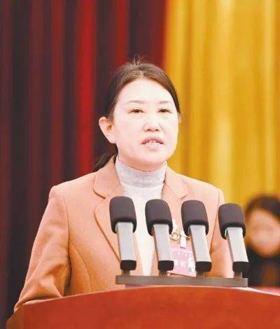 发言摘编真知灼见聚民意集思广益献良策