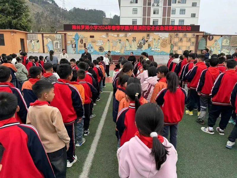 田林大队西林大队凌云大队乐业大队编辑丨陆燕华校对丨石远波审核丨