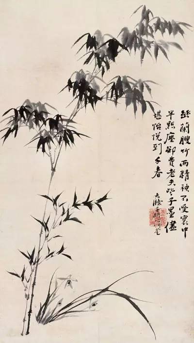 最美中国兰,历代名家笔下的兰花图_兰竹图_幽兰_空谷