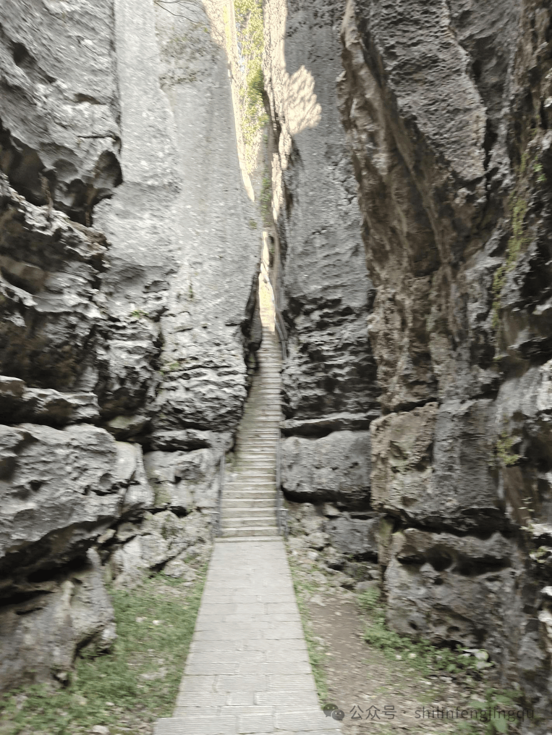 夏游石林:鬼斧神工的体悟_石头_石峰_活动