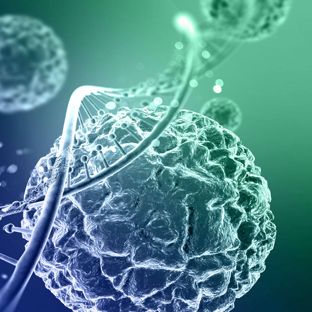 6-rg-6-pdh-46854903-cas-9001-40-5-coli-cell