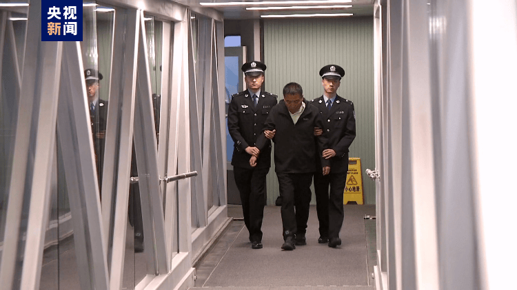 职务犯罪嫌疑人郭柏春被遣返回国_合作_执法_国际