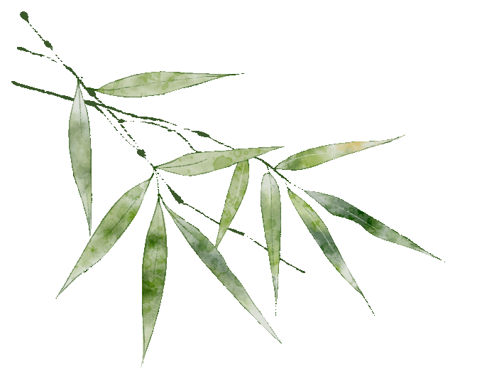 同频互联携手同行嘉善实验庆元实验跨地区教共体开展线上同步课堂及