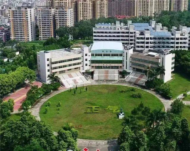 正式编制广东信宜市教育局招聘教师79人