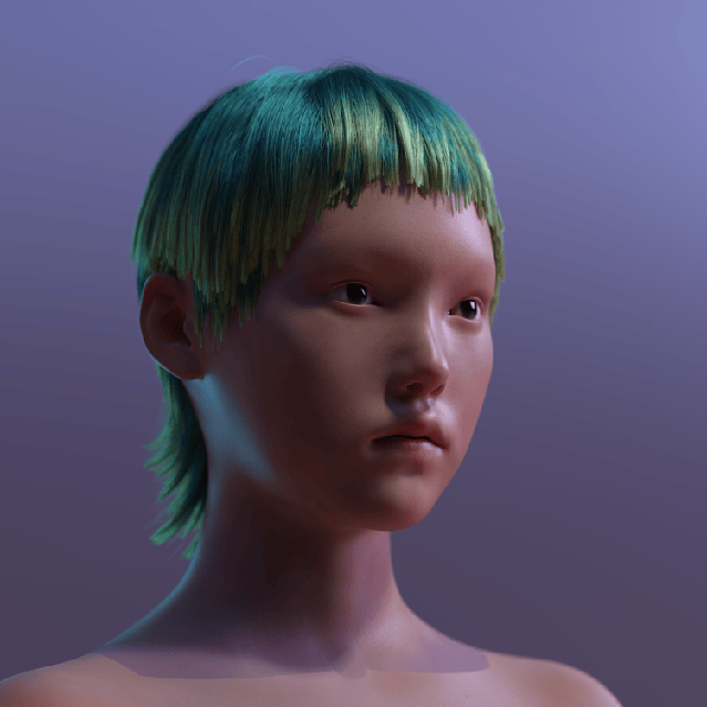 a stubbornly persistent illusion影像尺寸可变2017自我的重量the