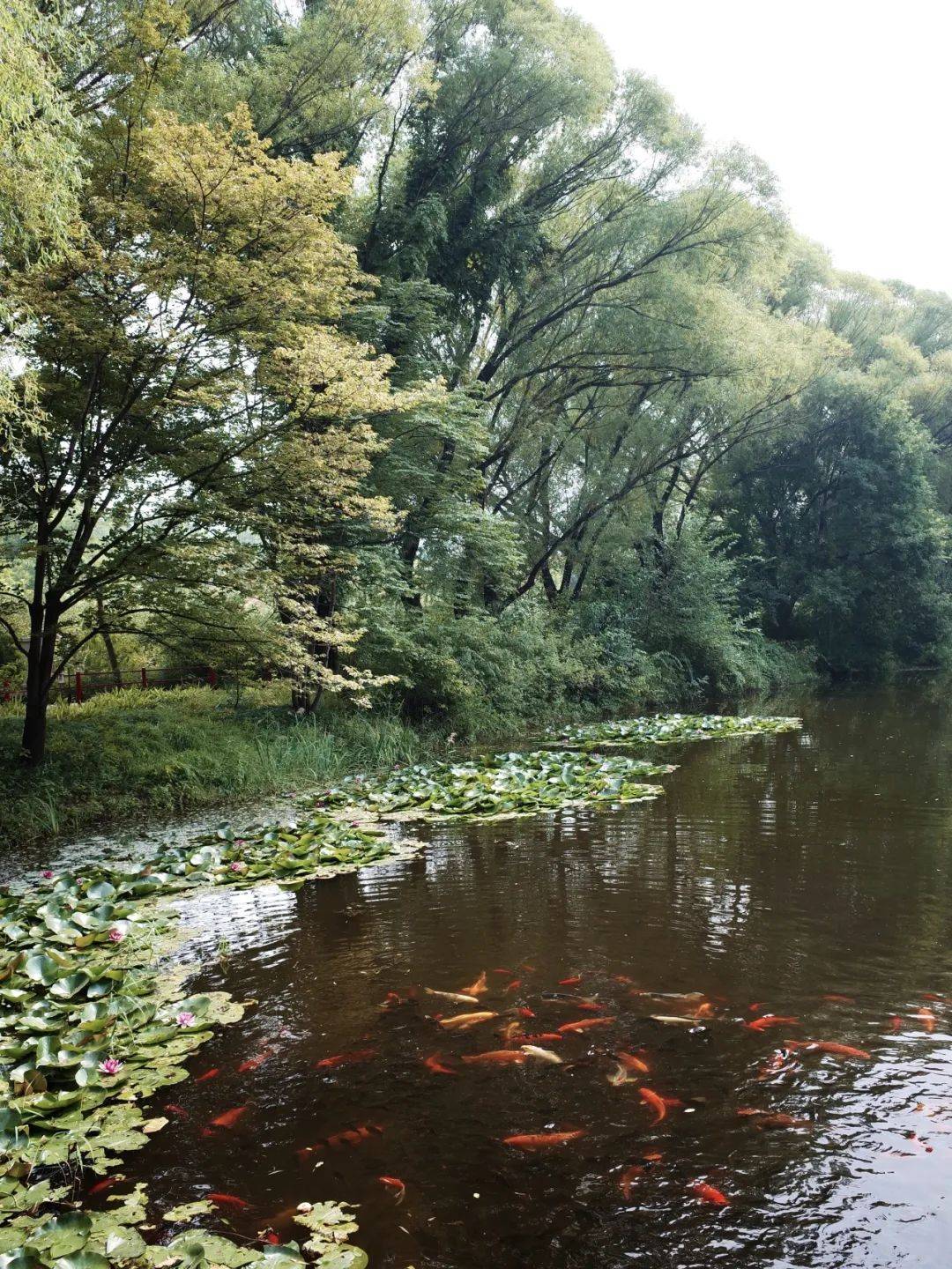 >山西省>图源:小红书网友@一个嘻旺主打欧式料理的西餐厅,由老板一手