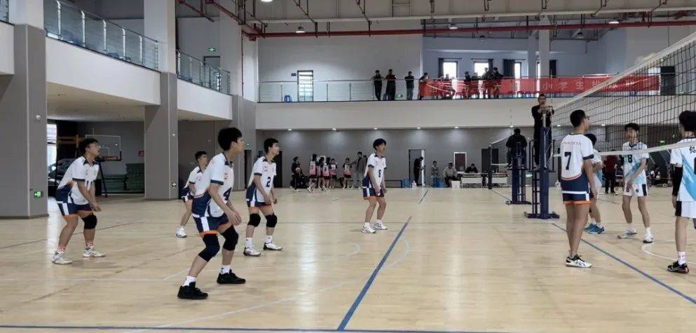 红传育人祝贺我校排球队在区排球比赛获佳绩