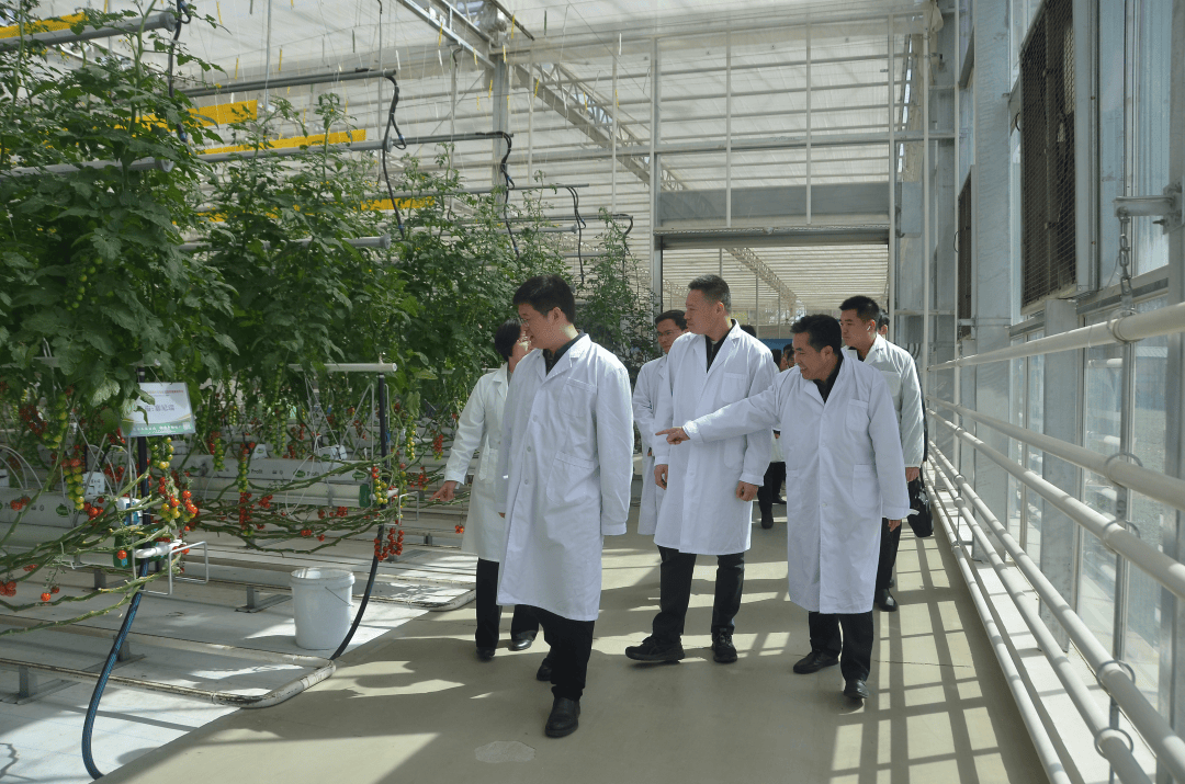 聚焦京津冀协同发展涞水县代表团到房山区对接京津冀协同发展工作