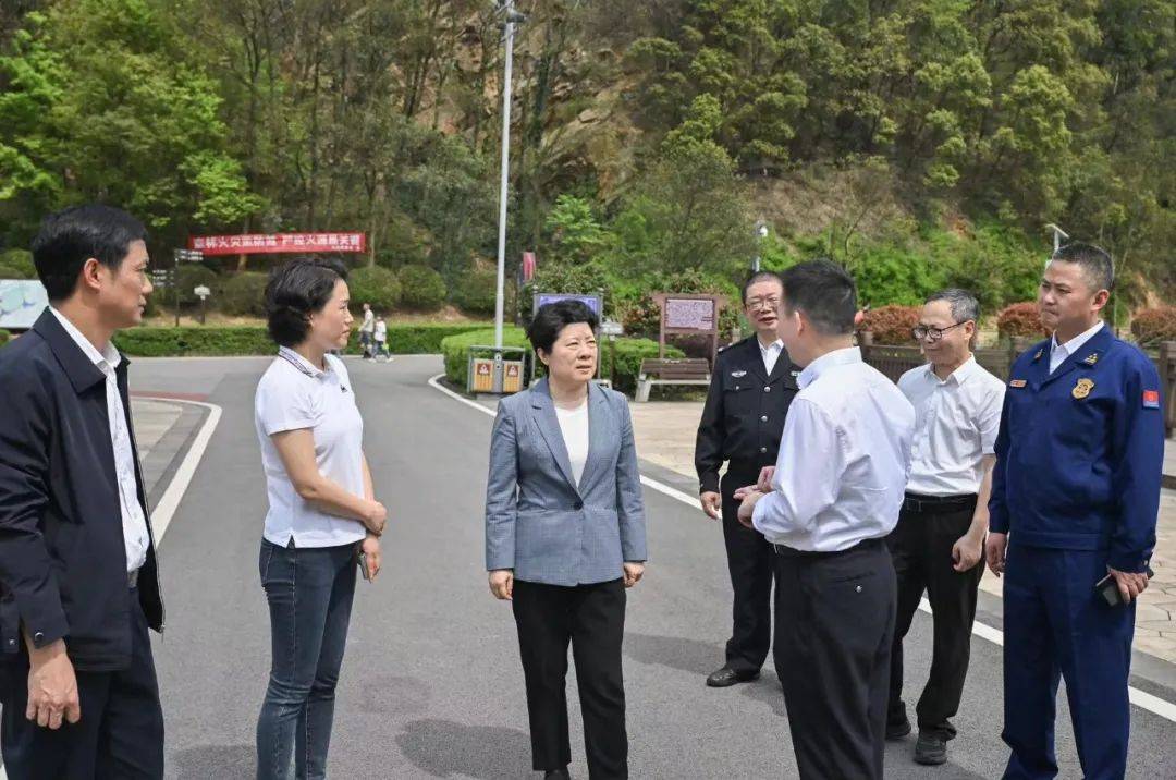 3月30日下午,省委常委,市委书记吴桂英在湘江新区开展巡林并检查森林