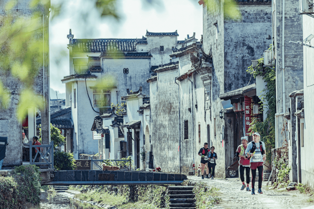 来徽州 上春山_摄影_油菜花_柯村