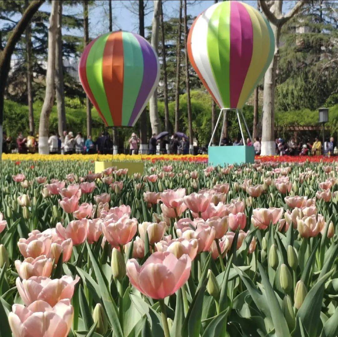 第30届兴庆宫公园春季花卉展盛大开幕!来这里郁见春天
