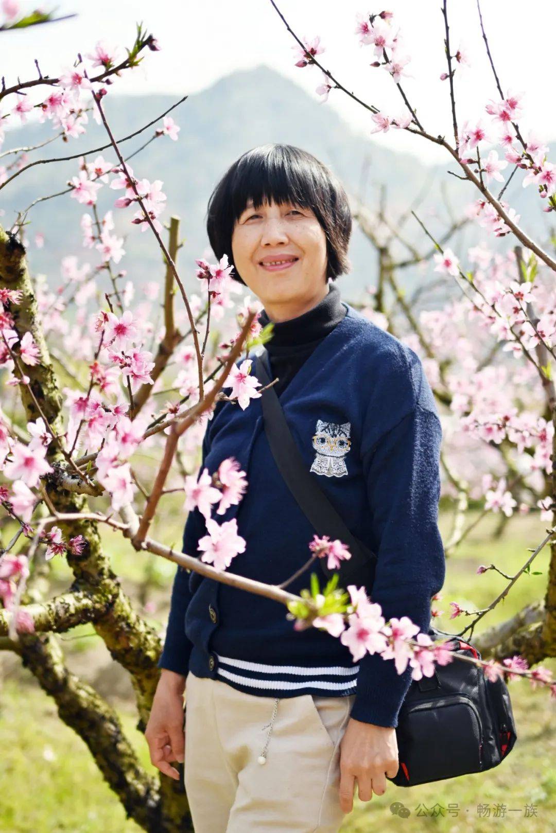 人面桃花相映红桃花依旧笑春风福安虎头村