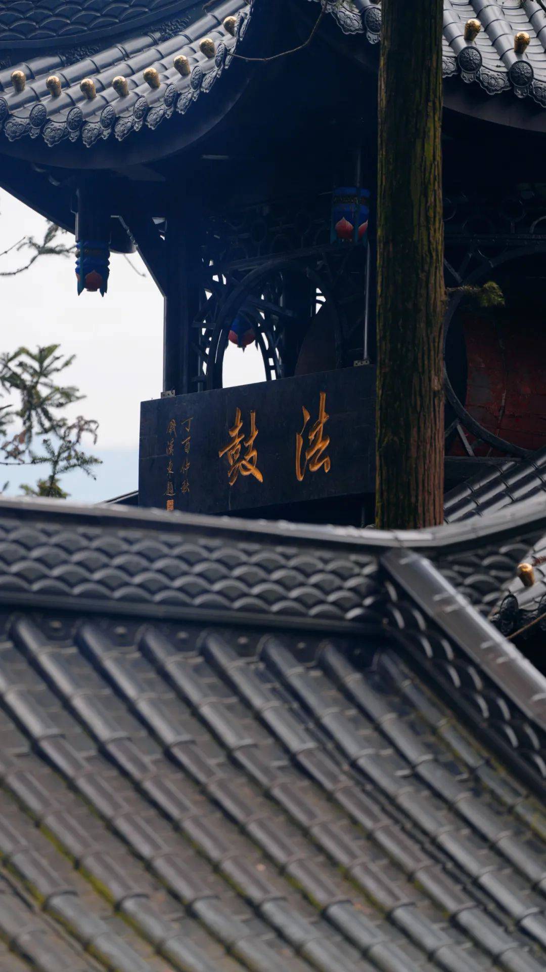 替大家去过了万年寺赏花真的很值得