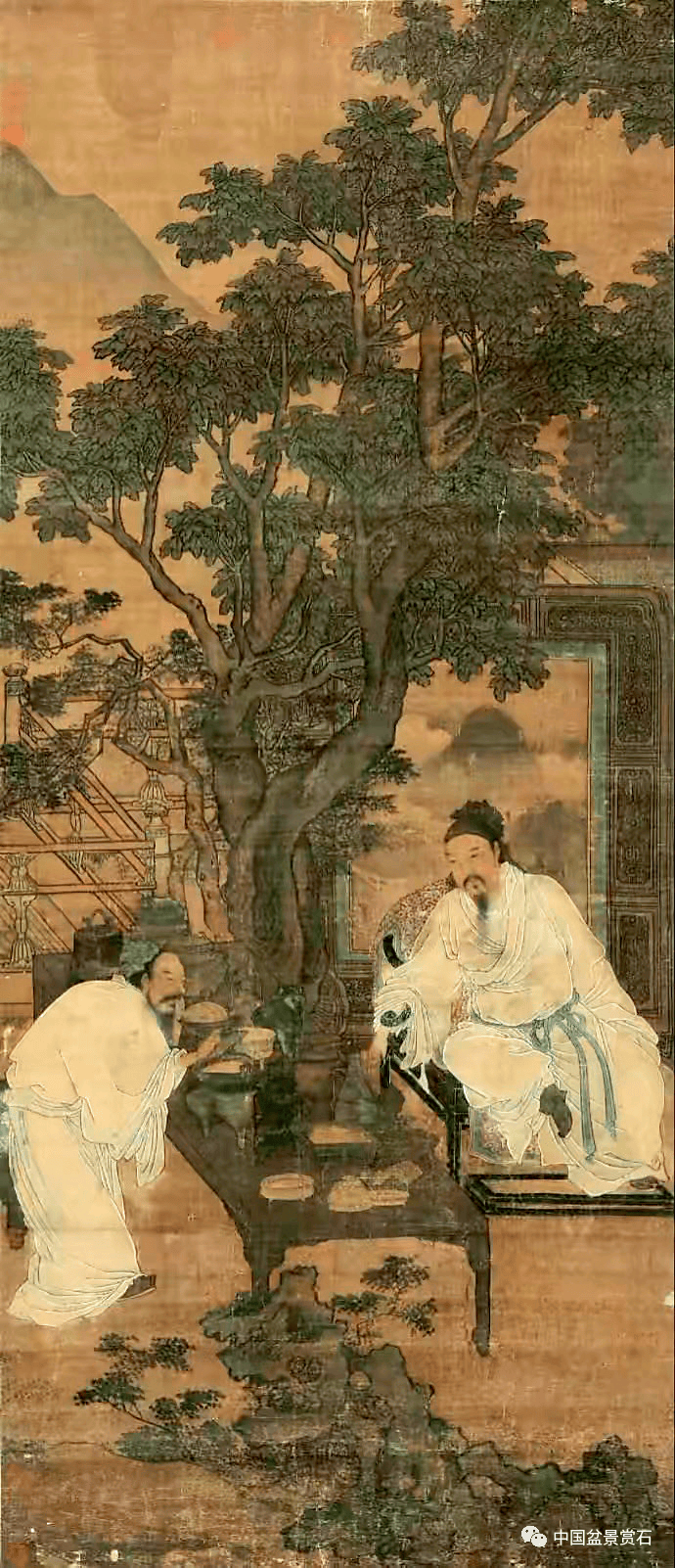 向经典致敬——重温中国松树盆景传世之作"刘松年笔意"