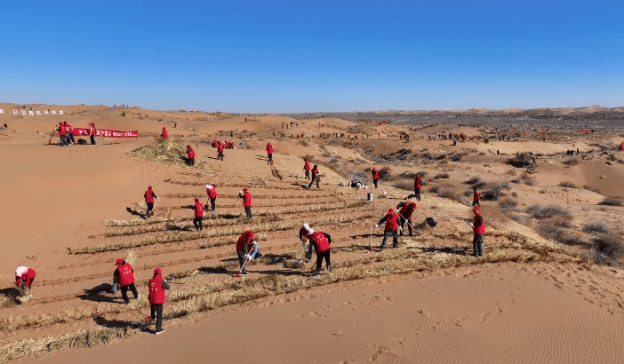矢志向绿行荒漠绘丹青武威市防沙治沙工作综述