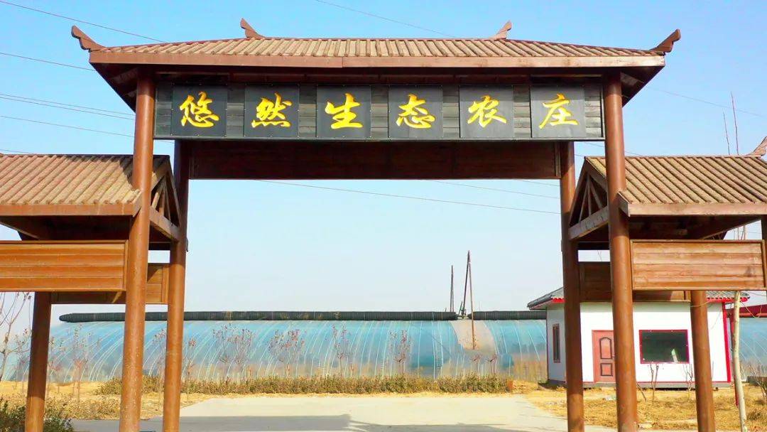 武邑县悠然生态农庄位于武邑镇吕庄村,集农业生产与观光旅游为一体的